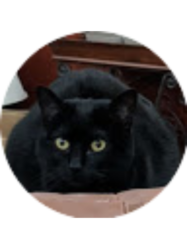 Photo of MICHELLE KWOK