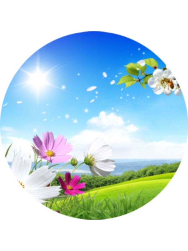 Photo of ologlidiavaleriu