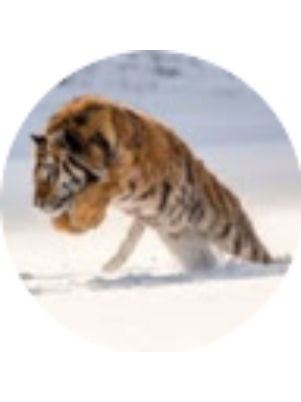 Photo of Wilson Moreno