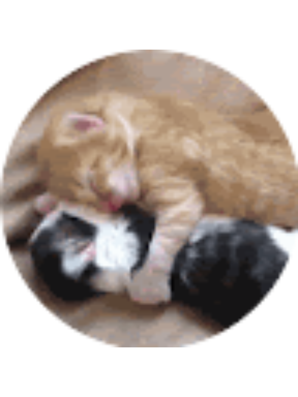 Photo of Martina Bernal Mart&iacute;nez