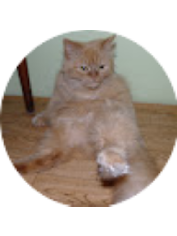 Photo of Lisa Adamenko