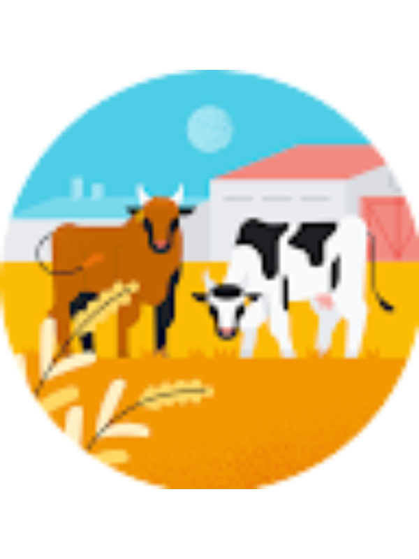 Photo of Charlotte Means