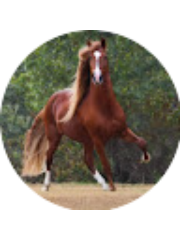 Photo of Annie Maxwell