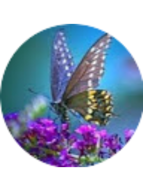 Photo of Mandy Boyce