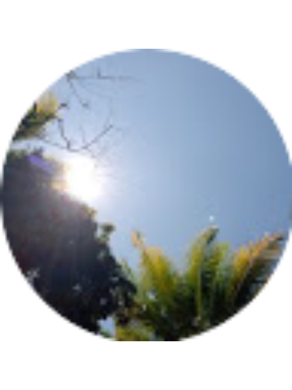 Photo of Brilliant Christalia