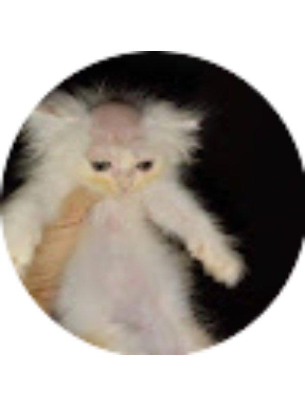 Photo of Екатерина Мартюшина