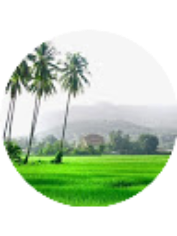 Photo of NORLIDA AHMAD