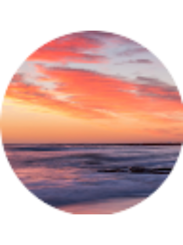 Photo of Francesca D'Amico