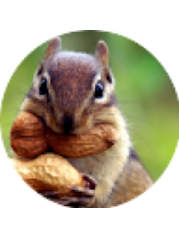 Photo of SAMUEL MCCLAIN