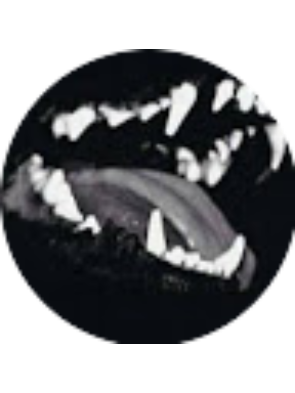 Photo of Carol Craft