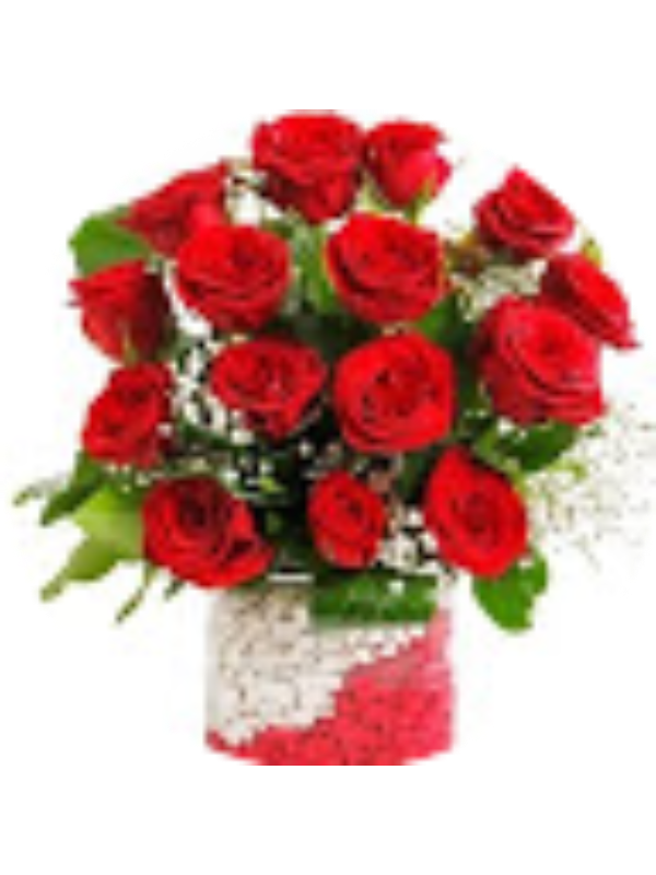 Photo of AYLA ŞENEL