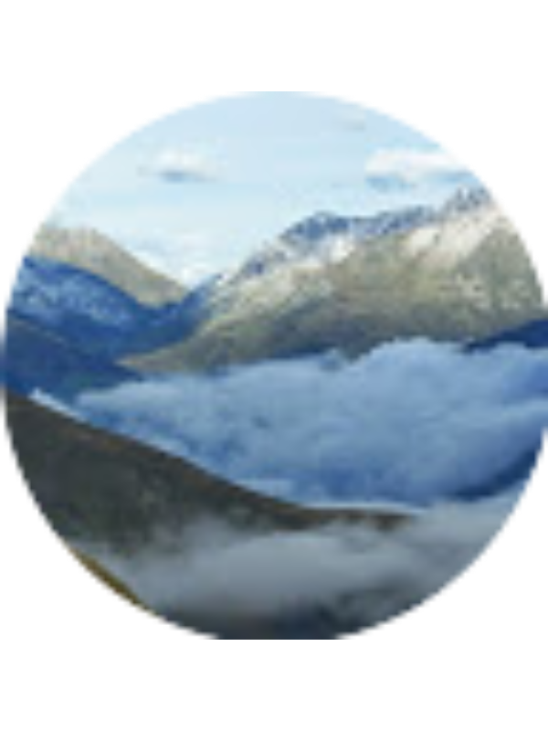 Photo of Alina Borisova