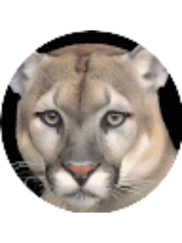 Photo of Sofia Papakosta