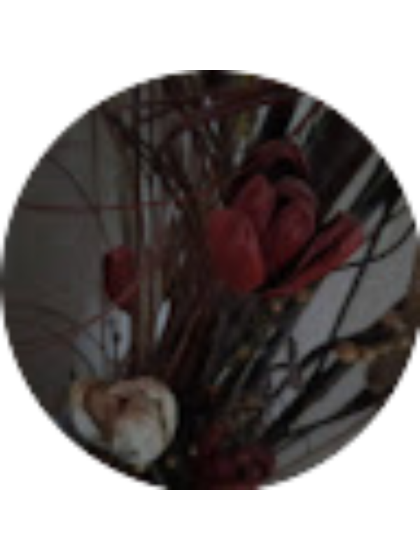 Photo of Hannah Dela Cruz