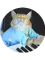Picture of Zakimuro 