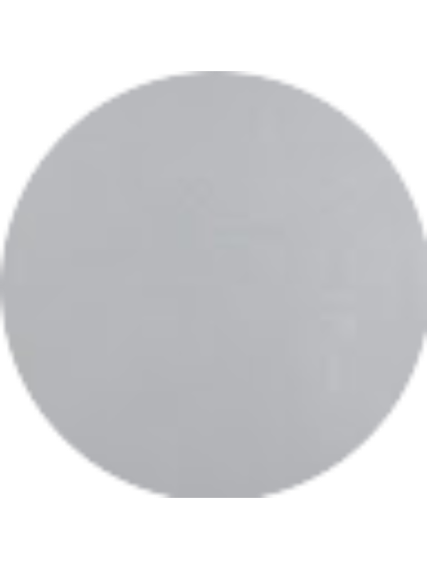 Photo of Shakeila Zaira P Mollah .