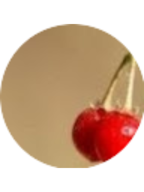 Photo of Cisem Kerim