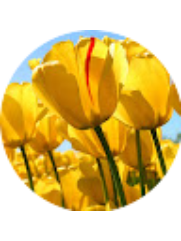 Photo of Valentina Madeo