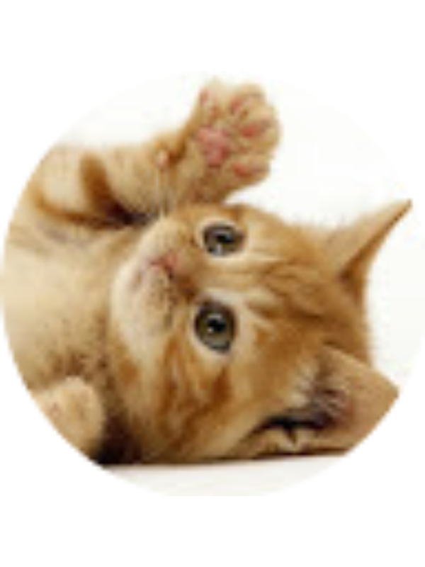 Photo of Audrie Greenwaldt