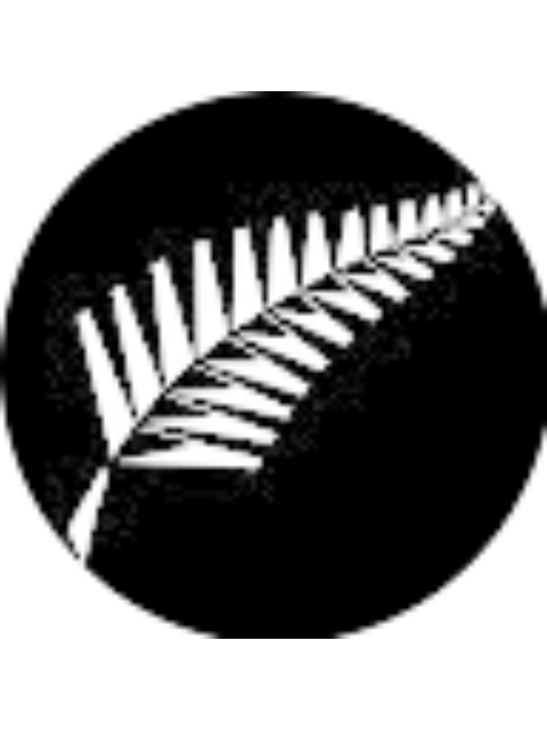 Photo of Paulus Rayar