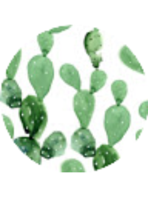 Photo of Emily Rotert