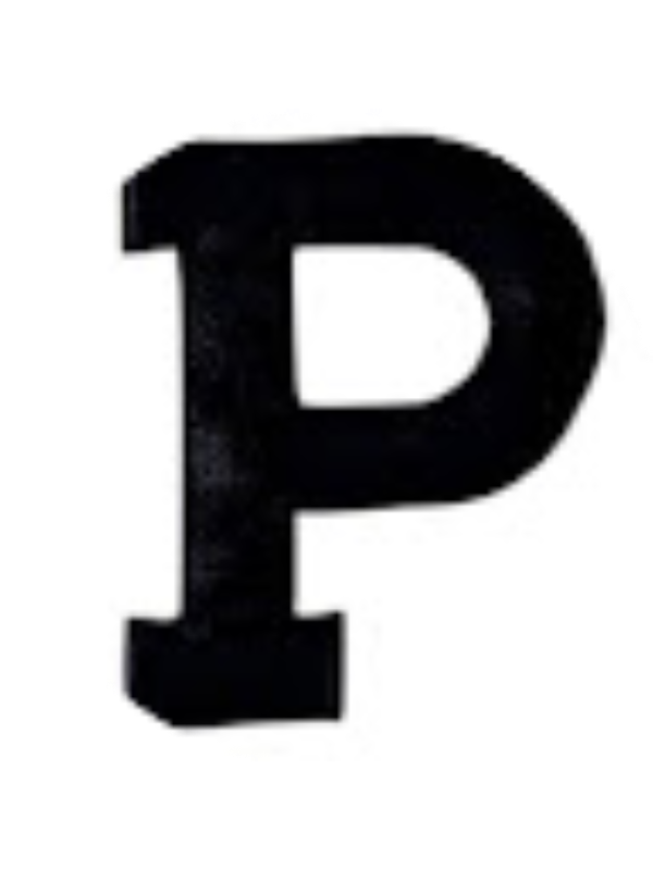 Photo of PAIGE BINGMAN