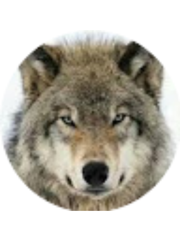 Photo of Garrett Williams