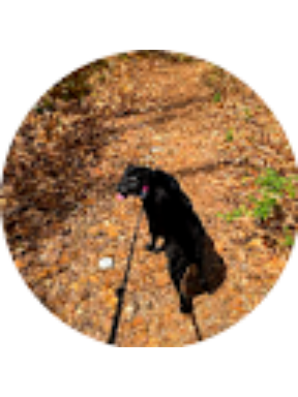 Photo of Makayla Turntine