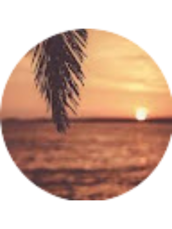 Photo of Seira Williams