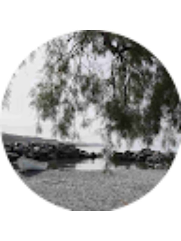 Photo of arxontia8607