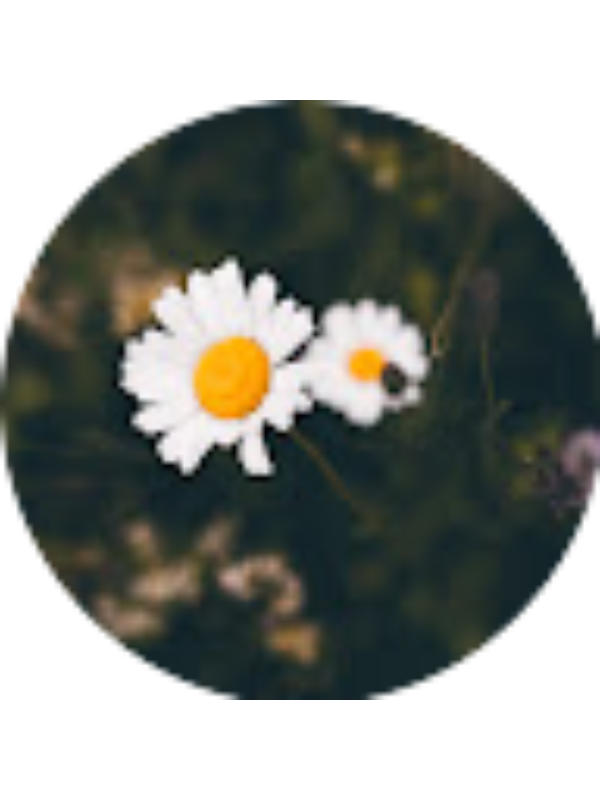 Photo of catherinekhorrami