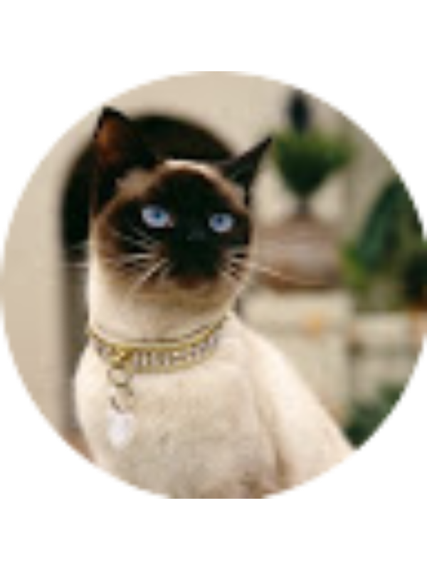 Photo of Mariana Sousa