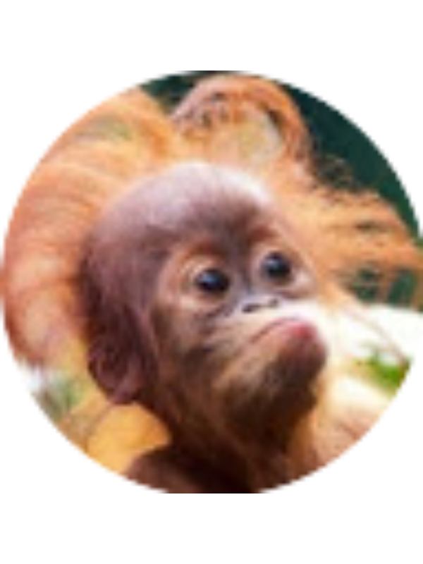 Photo of Sriya Sharma