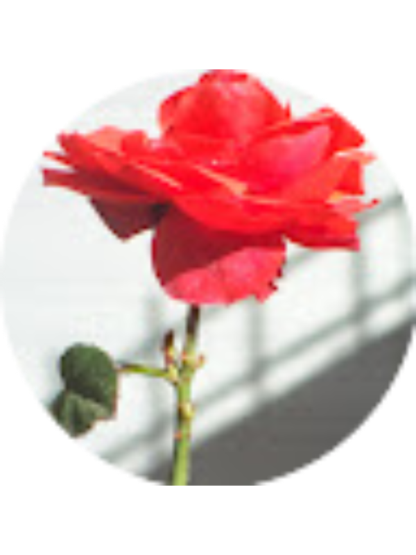 Photo of Sg Chr
