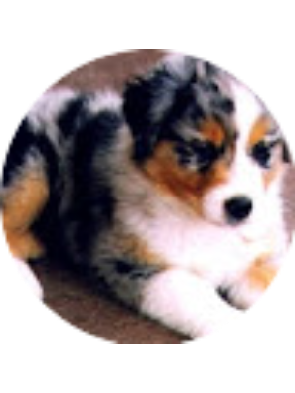 Photo of Brooklyn Murphy