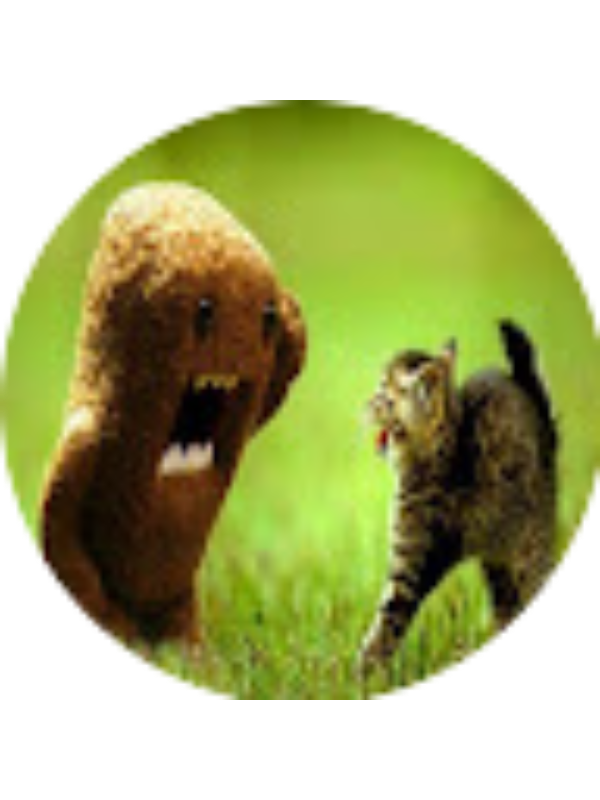 Photo of Olivia Heng