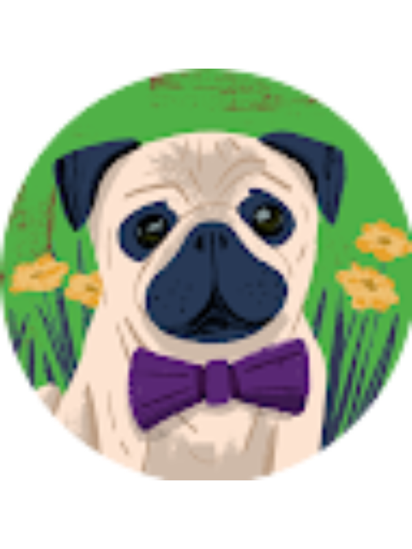 Photo of Nguyễn Thị Việt H&agrave;