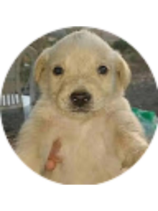 Photo of JUAN MANUEL ORTEGA ROMERO