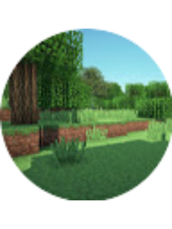 Photo of Sebastian Castillo