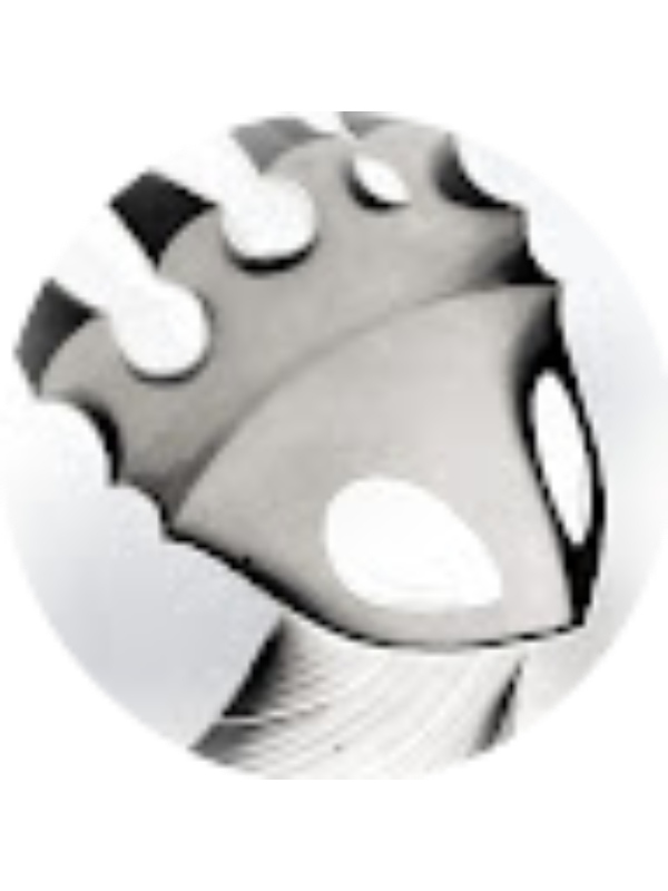 Photo of Reynaliz Charon