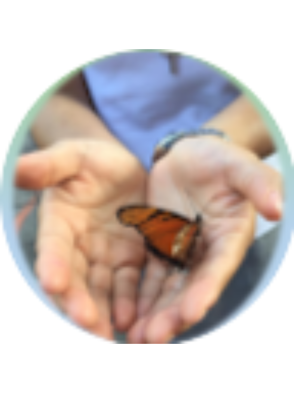 Photo of ANGELA DEL ROSARIO RUIZ FLORES