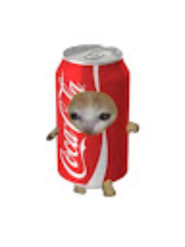 Photo of CITLALLI RODRIGUEZ CERVANTES