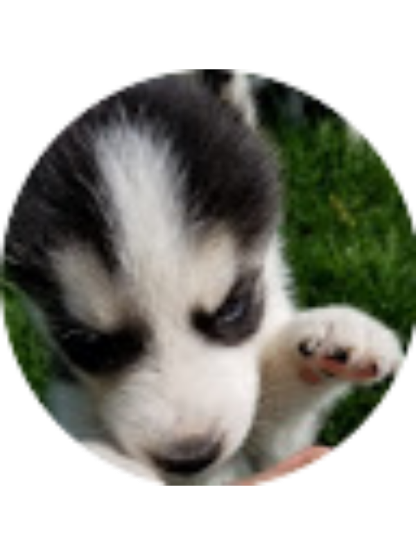 Photo of Mason Chubb