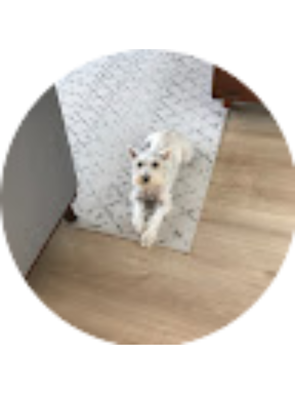 Photo of Paris Hoffmann