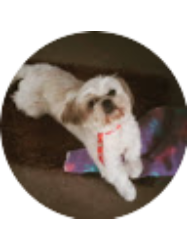 Photo of 1. Andrea Caballero