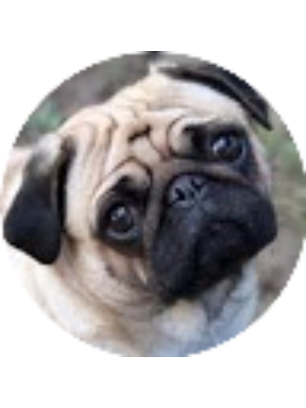 Photo of Alena Mathew