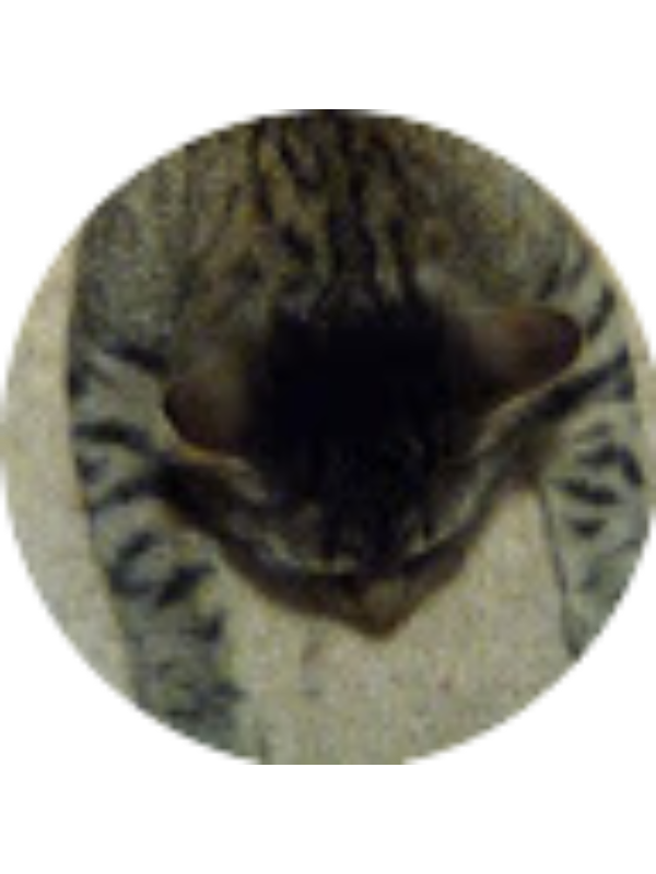 Photo of Danielle Warner