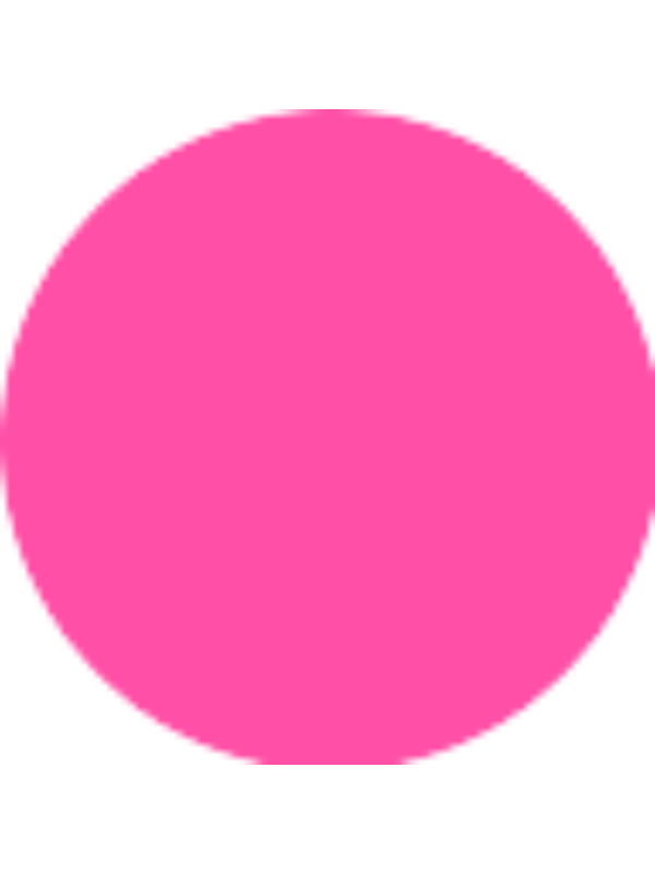 Photo of Carmen FERNANDEZ ROSSELLO