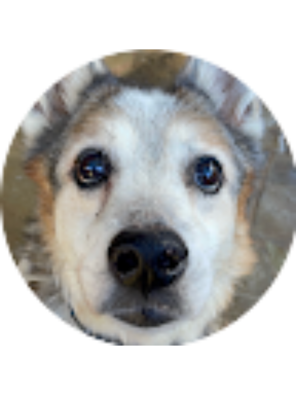 Photo of Lexi Adamez