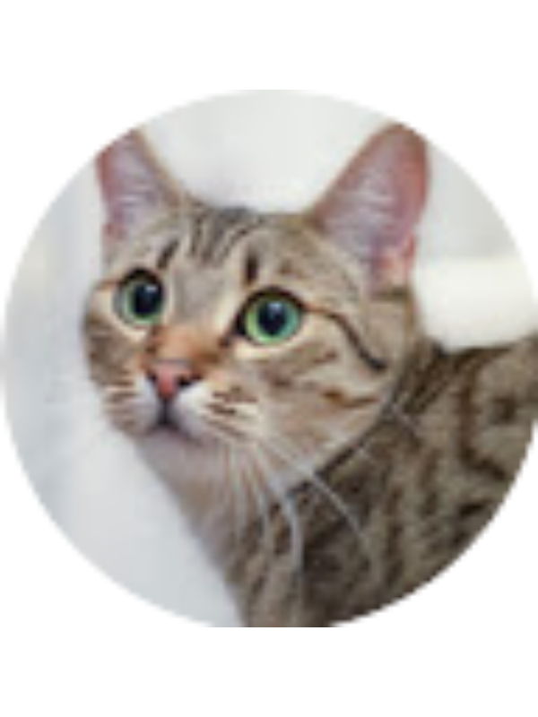 Photo of Marta Molas Arroyo